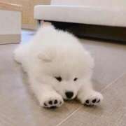 ヒメ日記 2026/02/02 15:05 投稿 みる if(イフ) 中村店