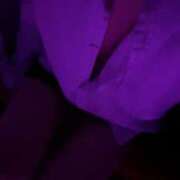 ヒメ日記 2025/07/07 15:00 投稿 れな AFTER V（アフターファイブ）