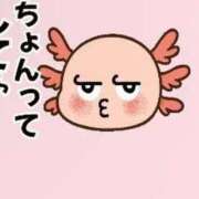 ヒメ日記 2025/11/16 10:51 投稿 にこる マリン土浦本店