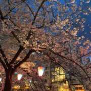 ヒメ日記 2025/04/04 08:16 投稿 澪(みお) 人妻城 横浜本店