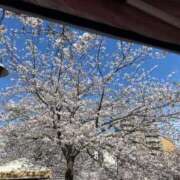 ヒメ日記 2025/04/08 08:27 投稿 澪(みお) 人妻城 横浜本店