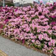 ヒメ日記 2025/04/22 23:04 投稿 澪(みお) 人妻城 横浜本店