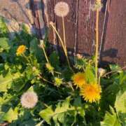 ヒメ日記 2025/05/01 19:38 投稿 澪(みお) 人妻城 横浜本店