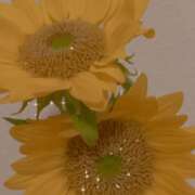 ヒメ日記 2025/05/08 21:10 投稿 澪(みお) 人妻城 横浜本店