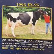 ヒメ日記 2025/05/14 08:32 投稿 澪(みお) 人妻城 横浜本店