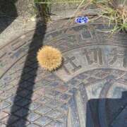 ヒメ日記 2025/06/01 15:38 投稿 澪(みお) 人妻城 横浜本店