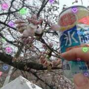 ヒメ日記 2025/04/13 22:18 投稿 ちか 宮城大崎古川ちゃんこ