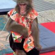 ヒメ日記 2025/04/16 23:48 投稿 ちか 宮城大崎古川ちゃんこ