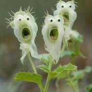 ヒメ日記 2025/05/17 20:58 投稿 ちか 宮城大崎古川ちゃんこ