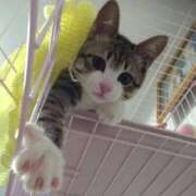 ヒメ日記 2025/05/18 17:38 投稿 ちか 宮城大崎古川ちゃんこ