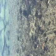 ヒメ日記 2025/07/15 16:04 投稿 ちか 宮城大崎古川ちゃんこ