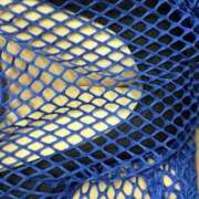 ヒメ日記 2025/08/02 13:48 投稿 ちか 宮城大崎古川ちゃんこ