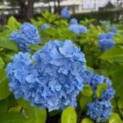 ヒメ日記 2025/08/08 20:28 投稿 ちか 宮城大崎古川ちゃんこ