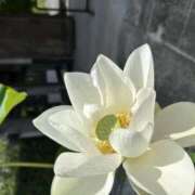 ヒメ日記 2025/09/03 10:38 投稿 ちか 宮城大崎古川ちゃんこ