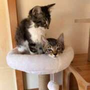 ヒメ日記 2025/09/24 12:58 投稿 ちか 宮城大崎古川ちゃんこ