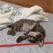 ヒメ日記 2025/10/04 12:58 投稿 ちか 宮城大崎古川ちゃんこ