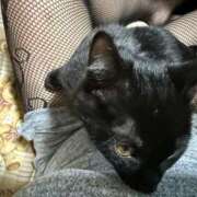 ヒメ日記 2025/11/12 20:28 投稿 ちか 宮城大崎古川ちゃんこ