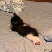 ヒメ日記 2025/11/20 20:18 投稿 ちか 宮城大崎古川ちゃんこ