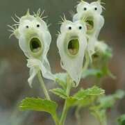 ヒメ日記 2026/01/28 12:58 投稿 ちか 宮城大崎古川ちゃんこ