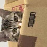 ヒメ日記 2026/01/30 07:58 投稿 ちか 宮城大崎古川ちゃんこ