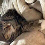 ヒメ日記 2026/02/20 18:08 投稿 ちか 宮城大崎古川ちゃんこ