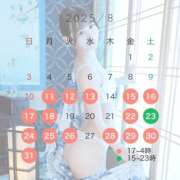 ヒメ日記 2025/08/24 13:01 投稿 せいな 隙のあるエステ