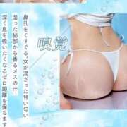 ヒメ日記 2025/10/09 22:46 投稿 せいな 隙のあるエステ