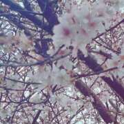 ヒメ日記 2025/03/01 15:32 投稿 あみ 君とふわふわプリンセスin川越