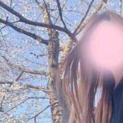 ヒメ日記 2025/04/04 16:39 投稿 あみ 君とふわふわプリンセスin川越