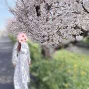 ヒメ日記 2025/04/10 14:16 投稿 あみ 君とふわふわプリンセスin川越