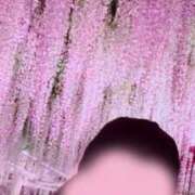 ヒメ日記 2025/05/03 22:47 投稿 あみ 君とふわふわプリンセスin川越