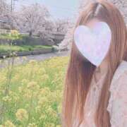 ヒメ日記 2026/04/21 21:03 投稿 あみ 君とふわふわプリンセスin川越