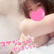 ヒメ日記 2026/01/16 21:09 投稿 めめ ぷよラブ FANたすてぃっく