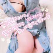 ヒメ日記 2026/01/29 21:11 投稿 めめ ぷよラブ FANたすてぃっく