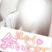 ヒメ日記 2026/04/06 08:49 投稿 らな ぷよラブ FANたすてぃっく