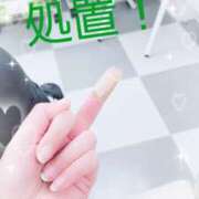 ヒメ日記 2025/03/03 09:38 投稿 喜多-きた- ただ離婚してないだけ