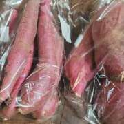 ヒメ日記 2025/03/19 20:27 投稿 喜多-きた- ただ離婚してないだけ