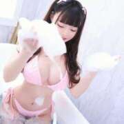 ヒメ日記 2025/06/26 11:41 投稿 おんぷ Versailles