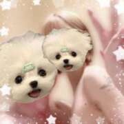 ヒメ日記 2026/03/27 08:01 投稿 エンジェル 奴隷コレクション