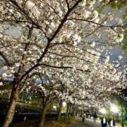 ヒメ日記 2025/04/02 17:56 投稿 松田　ひかり YUDEN〜油殿〜谷九・日本橋店