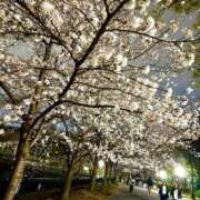 ヒメ日記 2025/04/02 18:03 投稿 松田　ひかり YUDEN〜油殿〜谷九・日本橋店