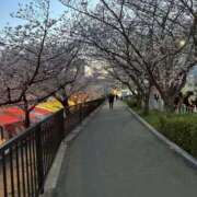 ヒメ日記 2025/04/08 17:33 投稿 松田　ひかり YUDEN〜油殿〜谷九・日本橋店