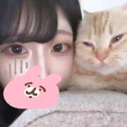 ヒメ日記 2025/04/26 02:14 投稿 松田　ひかり YUDEN〜油殿〜谷九・日本橋店