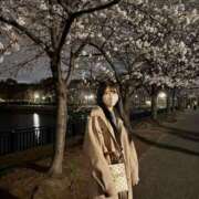 ヒメ日記 2025/05/01 02:00 投稿 松田　ひかり YUDEN〜油殿〜谷九・日本橋店