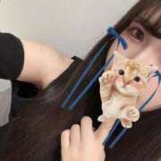 ヒメ日記 2025/06/19 16:20 投稿 松田　ひかり YUDEN〜油殿〜谷九・日本橋店