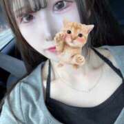 ヒメ日記 2025/06/20 16:08 投稿 松田　ひかり YUDEN〜油殿〜谷九・日本橋店