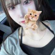 ヒメ日記 2025/06/24 00:53 投稿 松田　ひかり YUDEN〜油殿〜谷九・日本橋店