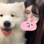 ヒメ日記 2025/09/02 02:00 投稿 松田　ひかり YUDEN〜油殿〜谷九・日本橋店