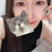 ヒメ日記 2025/10/27 22:33 投稿 松田　ひかり YUDEN〜油殿〜谷九・日本橋店