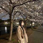 ヒメ日記 2025/11/21 17:39 投稿 松田　ひかり YUDEN〜油殿〜谷九・日本橋店